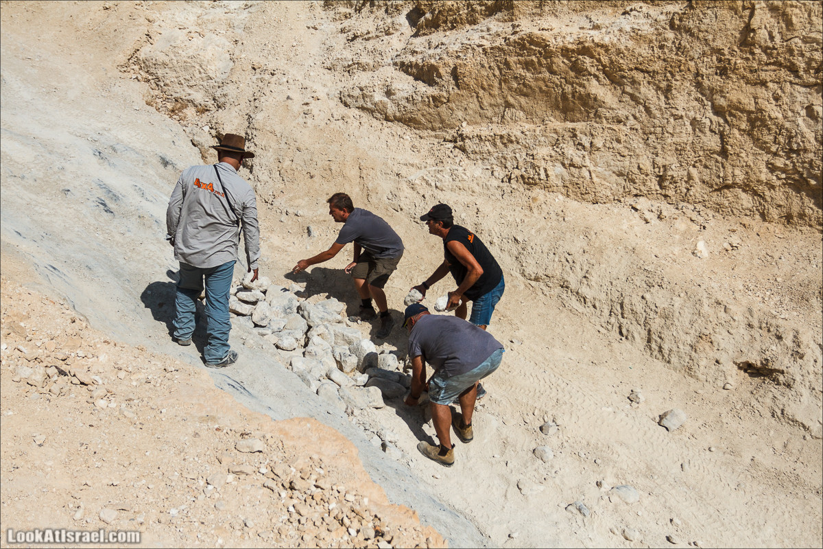Внедорожное путешествие по пустыне | LookAtIsrael.com - Фото путешествия по Израилю