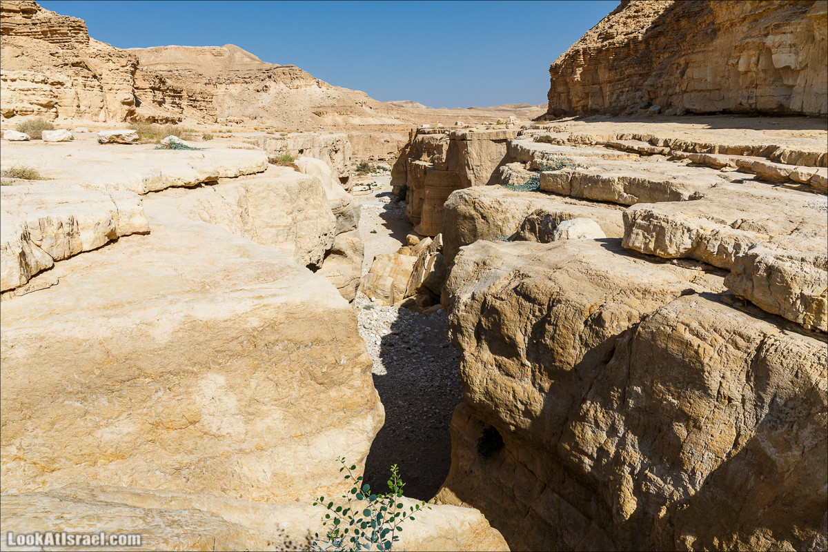 Внедорожное путешествие по пустыне | LookAtIsrael.com - Фото путешествия по Израилю