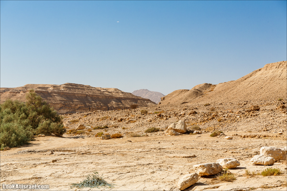 Внедорожное путешествие по пустыне | LookAtIsrael.com - Фото путешествия по Израилю