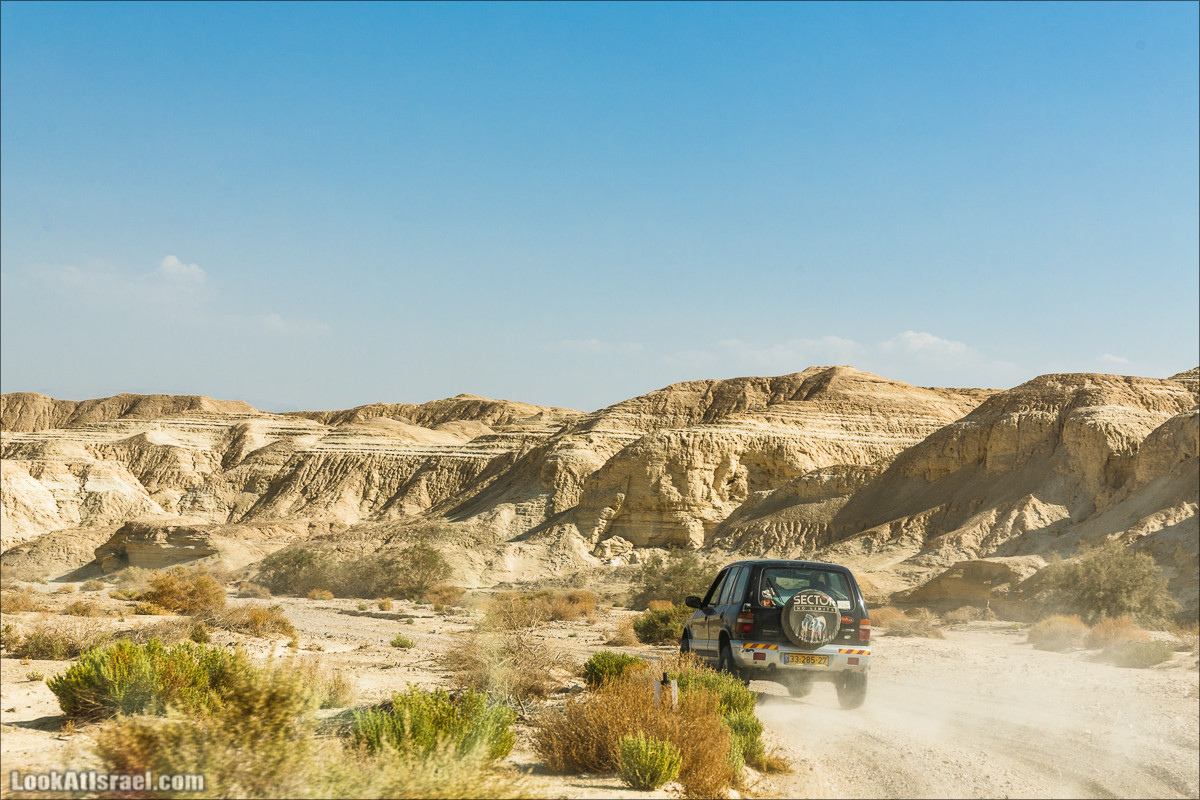 Внедорожное путешествие по пустыне | LookAtIsrael.com - Фото путешествия по Израилю