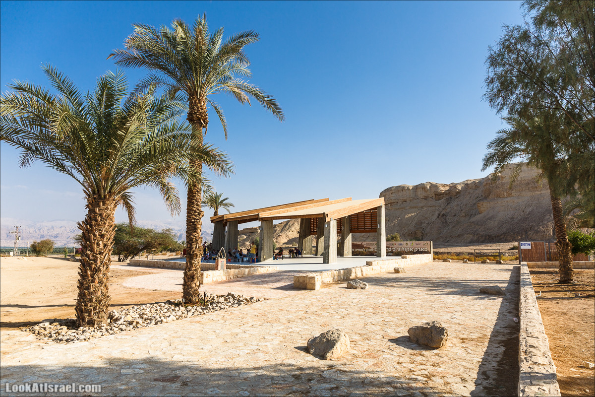 Внедорожное путешествие по пустыне | LookAtIsrael.com - Фото путешествия по Израилю