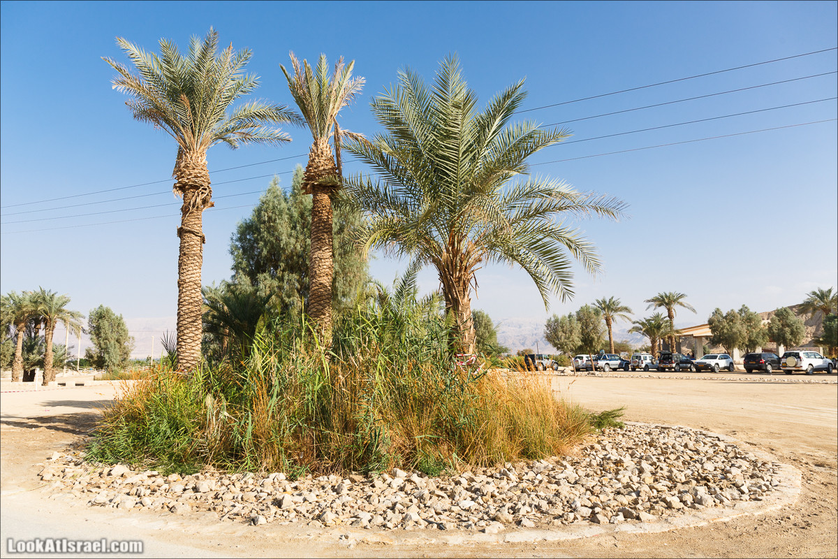 Внедорожное путешествие по пустыне | LookAtIsrael.com - Фото путешествия по Израилю