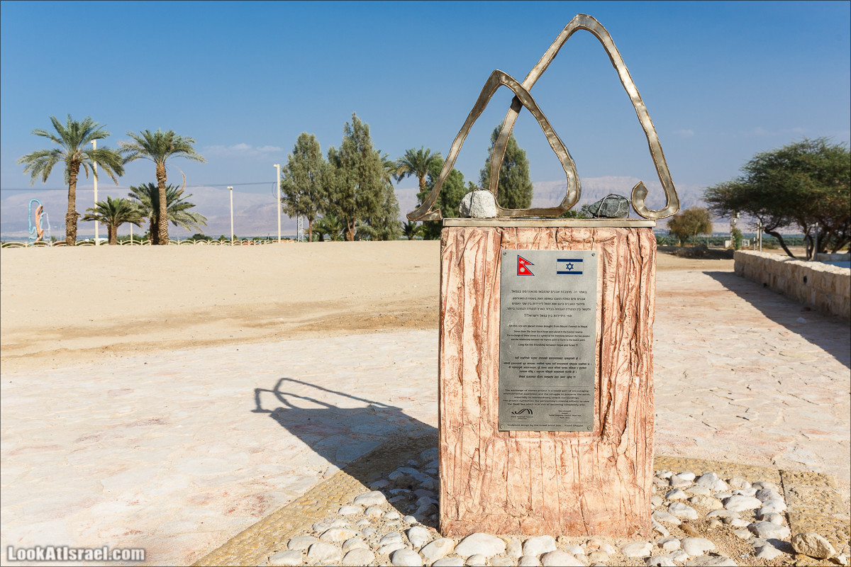 Внедорожное путешествие по пустыне | LookAtIsrael.com - Фото путешествия по Израилю