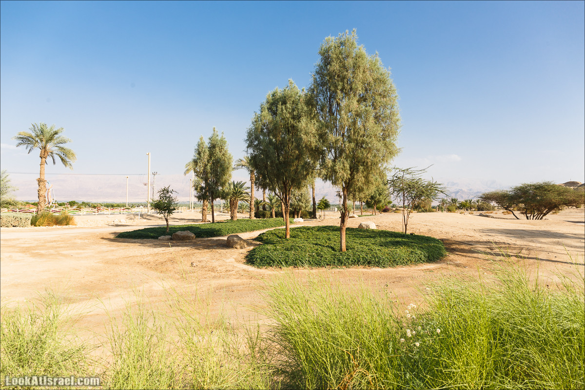 Внедорожное путешествие по пустыне | LookAtIsrael.com - Фото путешествия по Израилю