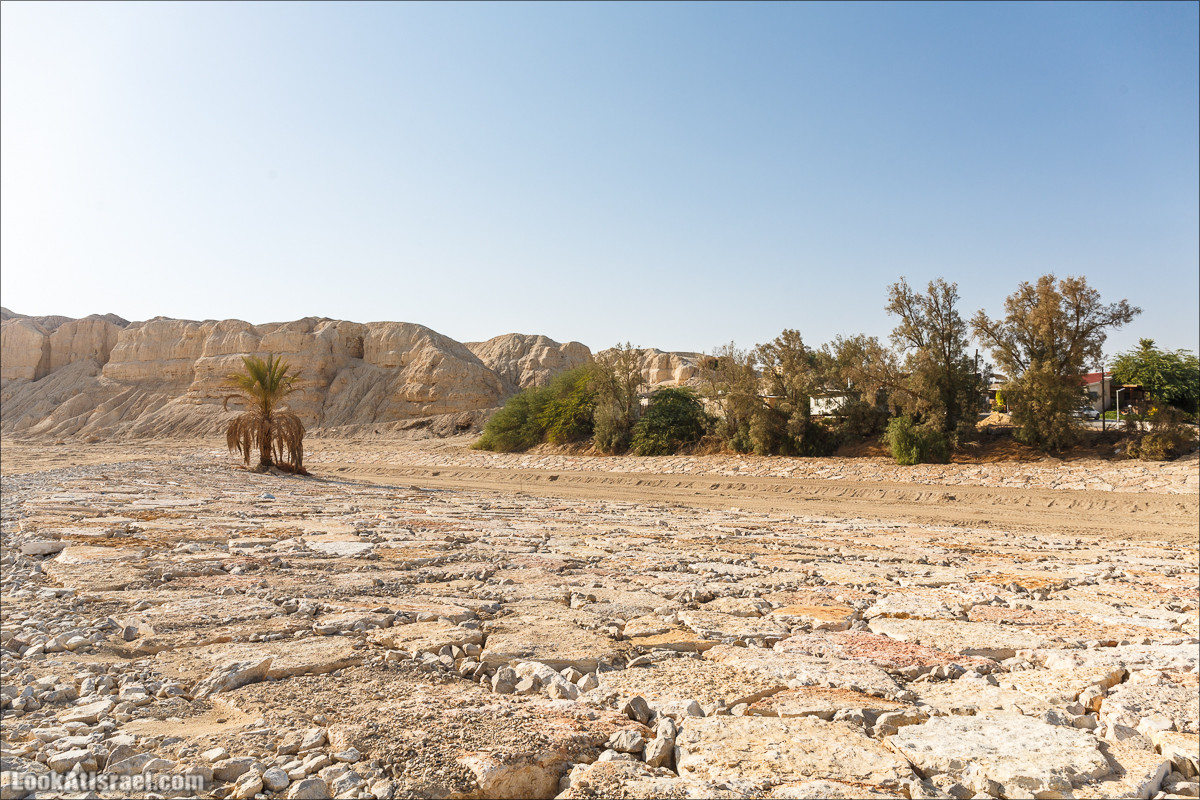 Внедорожное путешествие по пустыне | LookAtIsrael.com - Фото путешествия по Израилю