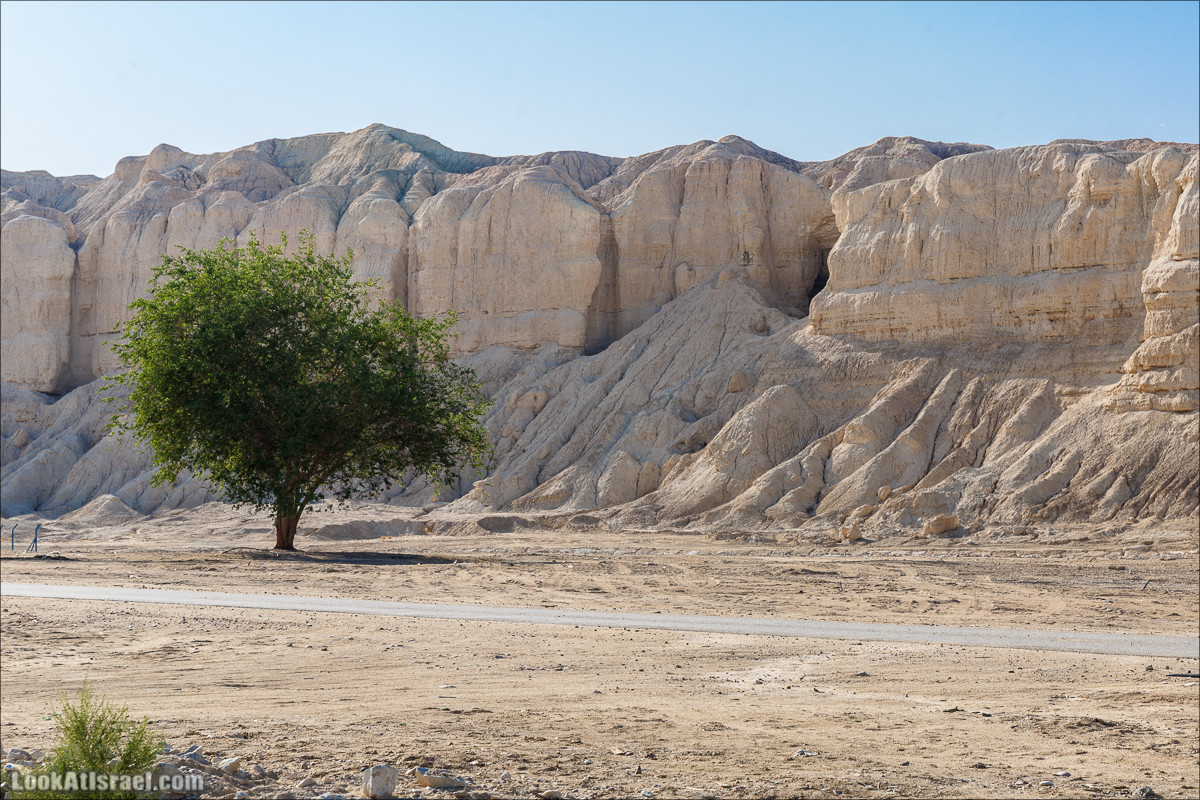 Внедорожное путешествие по пустыне | LookAtIsrael.com - Фото путешествия по Израилю