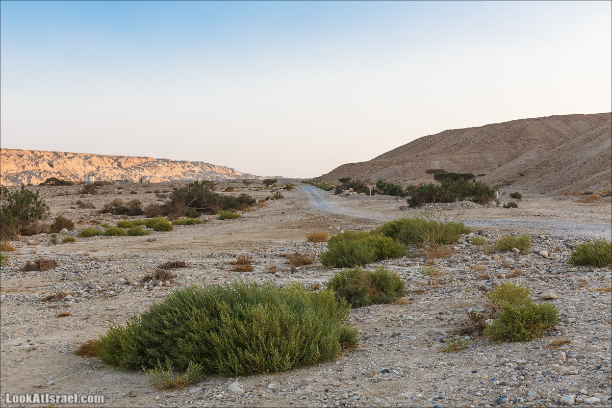 Внедорожное путешествие по пустыне | LookAtIsrael.com - Фото путешествия по Израилю