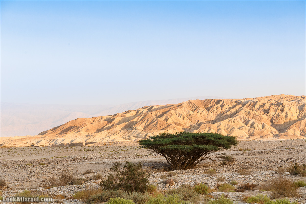 Внедорожное путешествие по пустыне | LookAtIsrael.com - Фото путешествия по Израилю