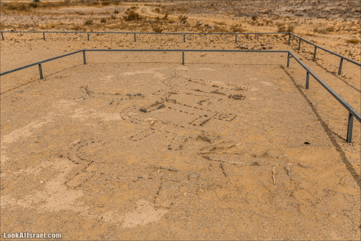 Дорога патрулей и Храм Леопардов | Leopards Church | מקדש הנמרים | LookAtIsrael.com - Фото путешествия по Израилю