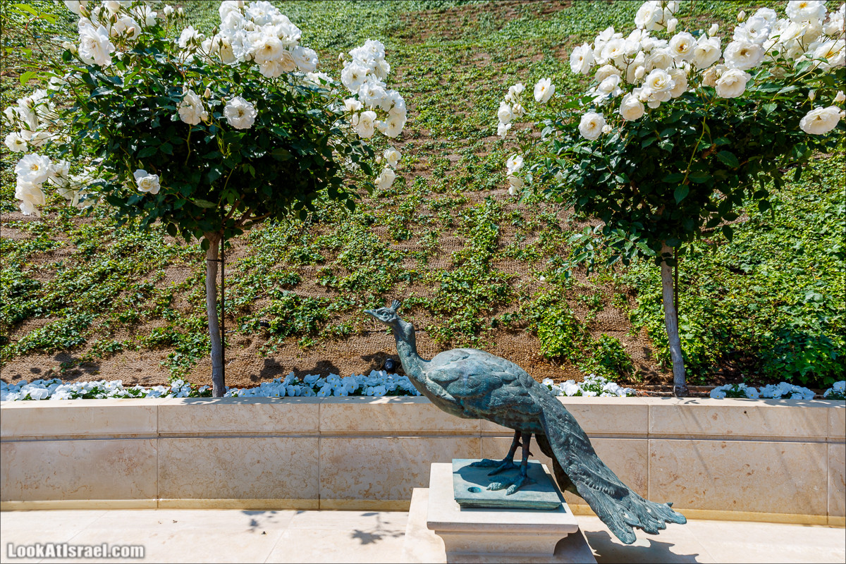 Всемирный центр наследия и сады Бахаи в Хайфе | The Gardens in Haifa - The Bahai | המרכז הבהאי העולמי | LookAtIsrael.com - Фото путешествия по Израилю