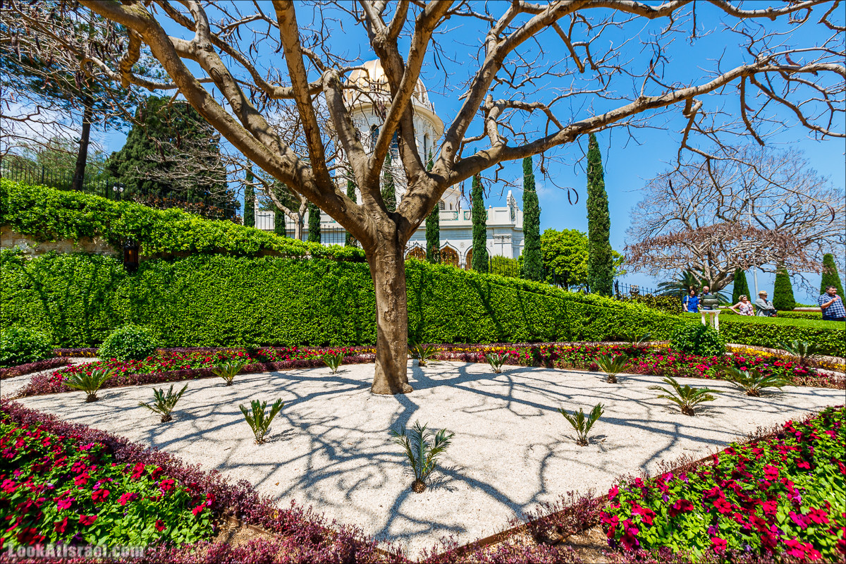Всемирный центр наследия и сады Бахаи в Хайфе | The Gardens in Haifa - The Bahai | המרכז הבהאי העולמי | LookAtIsrael.com - Фото путешествия по Израилю