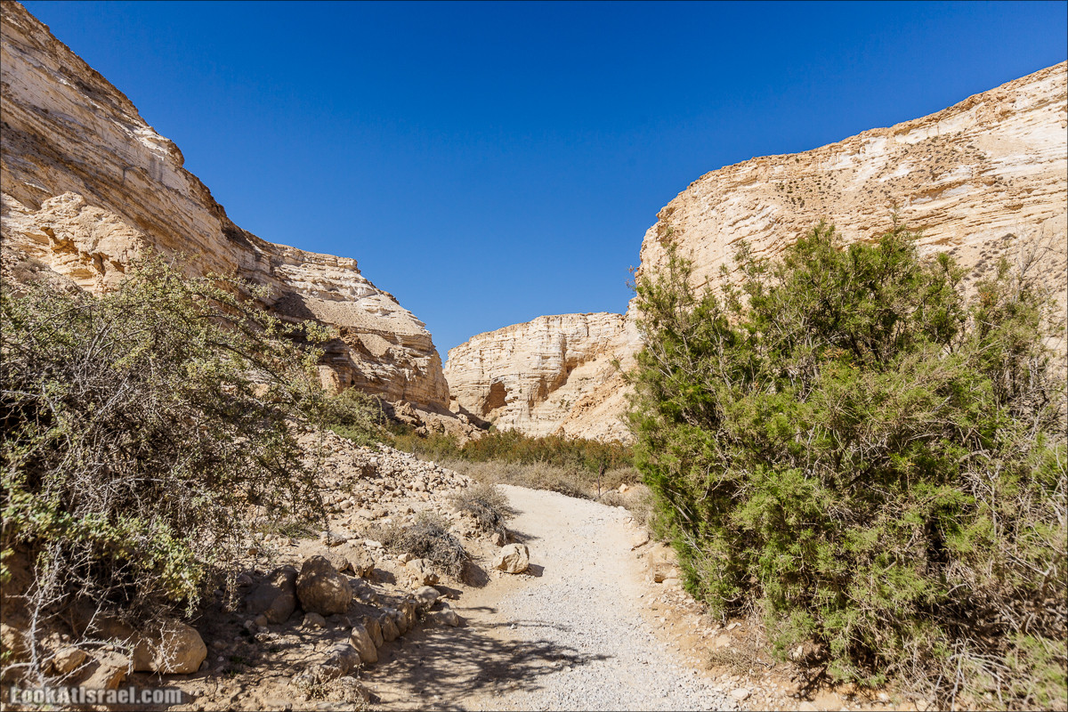 Эйн Авдат | LookAtIsrael.com - Фото путешествия по Израилю