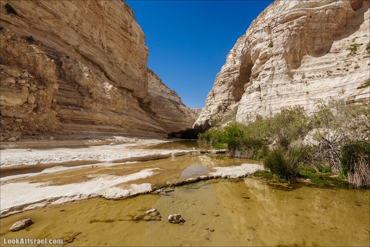 Эйн Авдат | LookAtIsrael.com - Фото путешествия по Израилю
