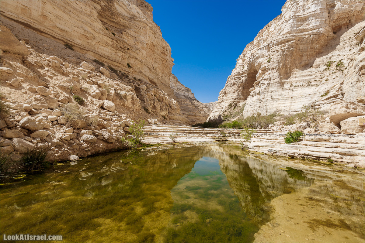 Эйн Авдат | LookAtIsrael.com - Фото путешествия по Израилю