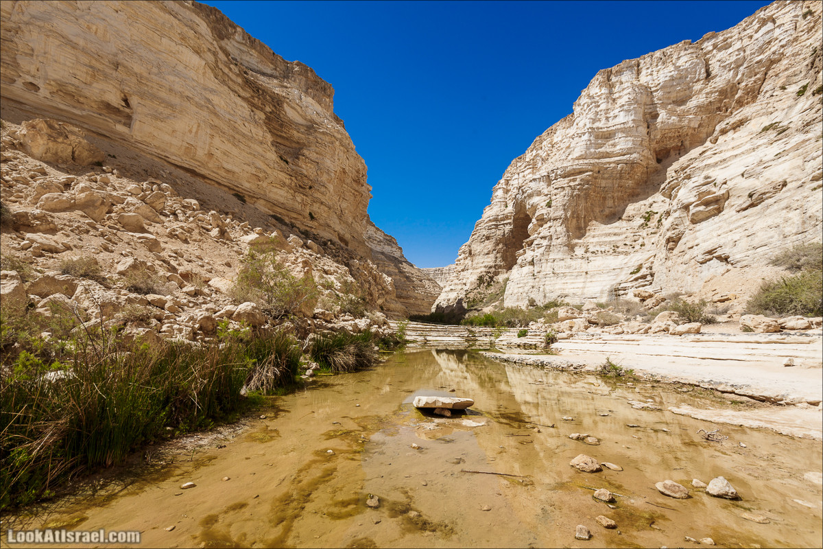 Эйн Авдат | LookAtIsrael.com - Фото путешествия по Израилю