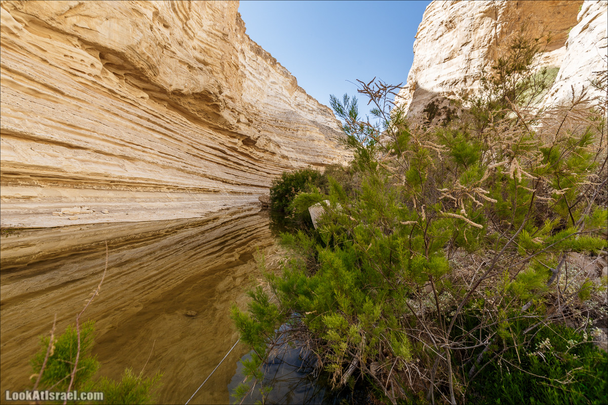 Эйн Авдат | LookAtIsrael.com - Фото путешествия по Израилю