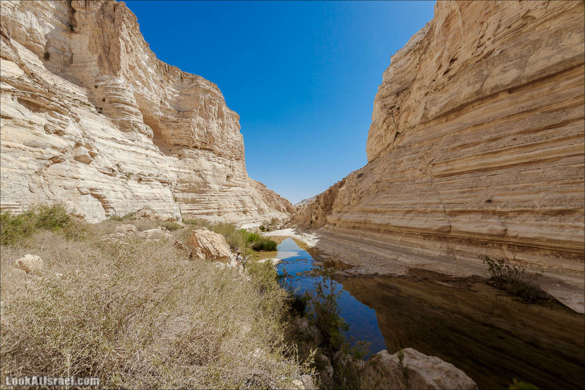 Эйн Авдат | LookAtIsrael.com - Фото путешествия по Израилю