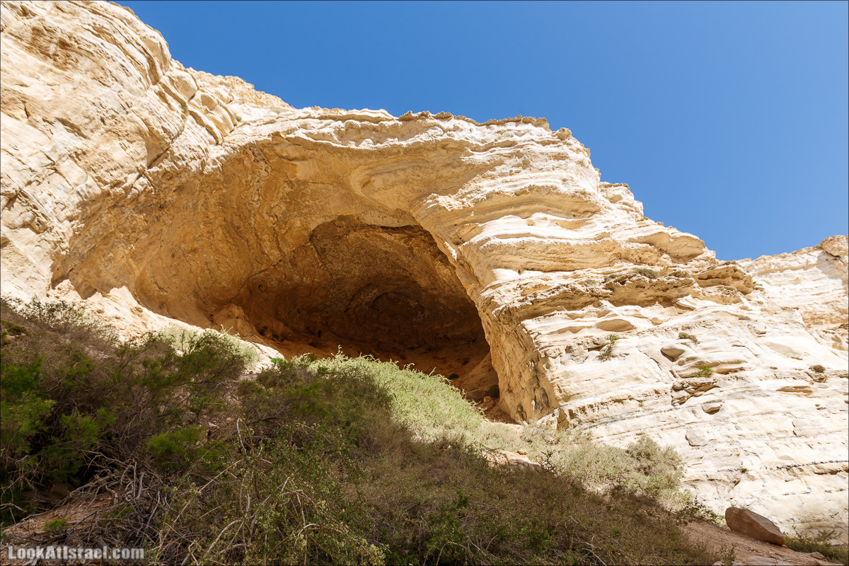 Эйн Авдат | LookAtIsrael.com - Фото путешествия по Израилю