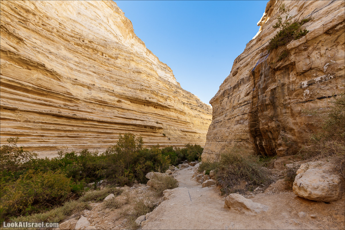 Эйн Авдат | LookAtIsrael.com - Фото путешествия по Израилю