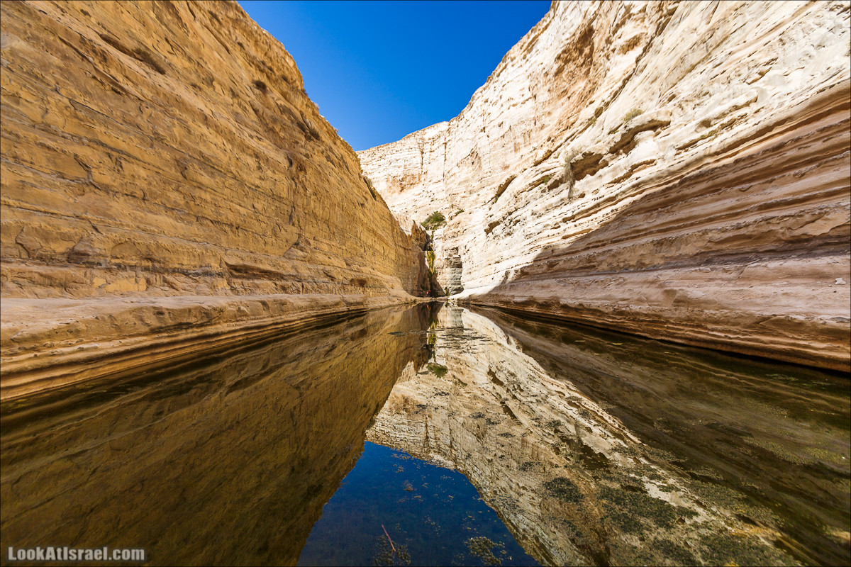 Эйн Авдат | LookAtIsrael.com - Фото путешествия по Израилю