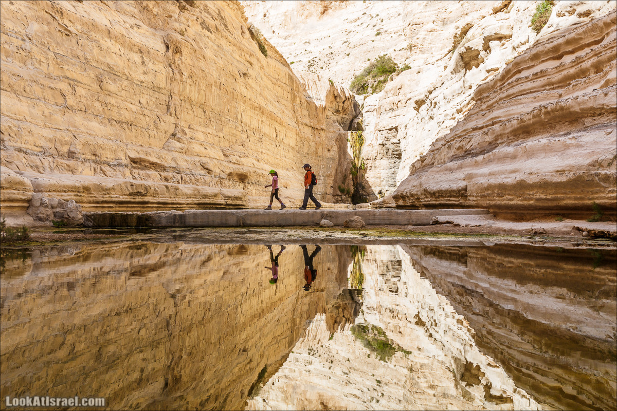 Эйн Авдат | LookAtIsrael.com - Фото путешествия по Израилю