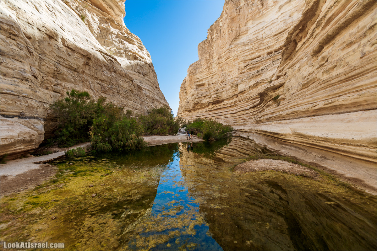 Эйн Авдат | LookAtIsrael.com - Фото путешествия по Израилю