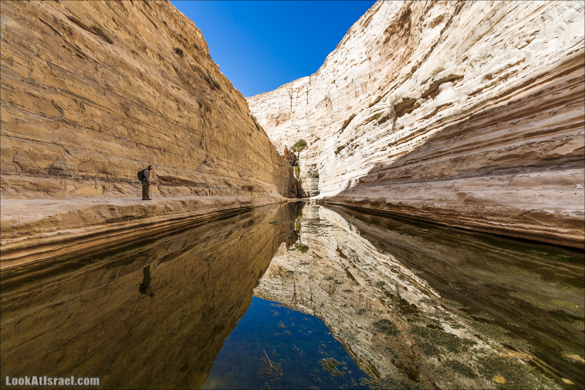 Эйн Авдат | LookAtIsrael.com - Фото путешествия по Израилю