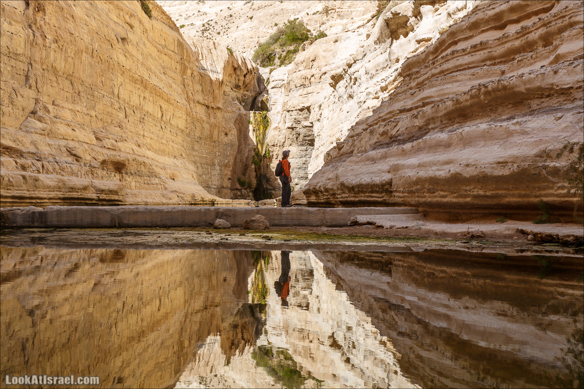 Эйн Авдат | LookAtIsrael.com - Фото путешествия по Израилю