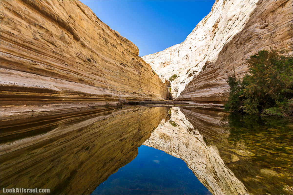 Эйн Авдат | LookAtIsrael.com - Фото путешествия по Израилю