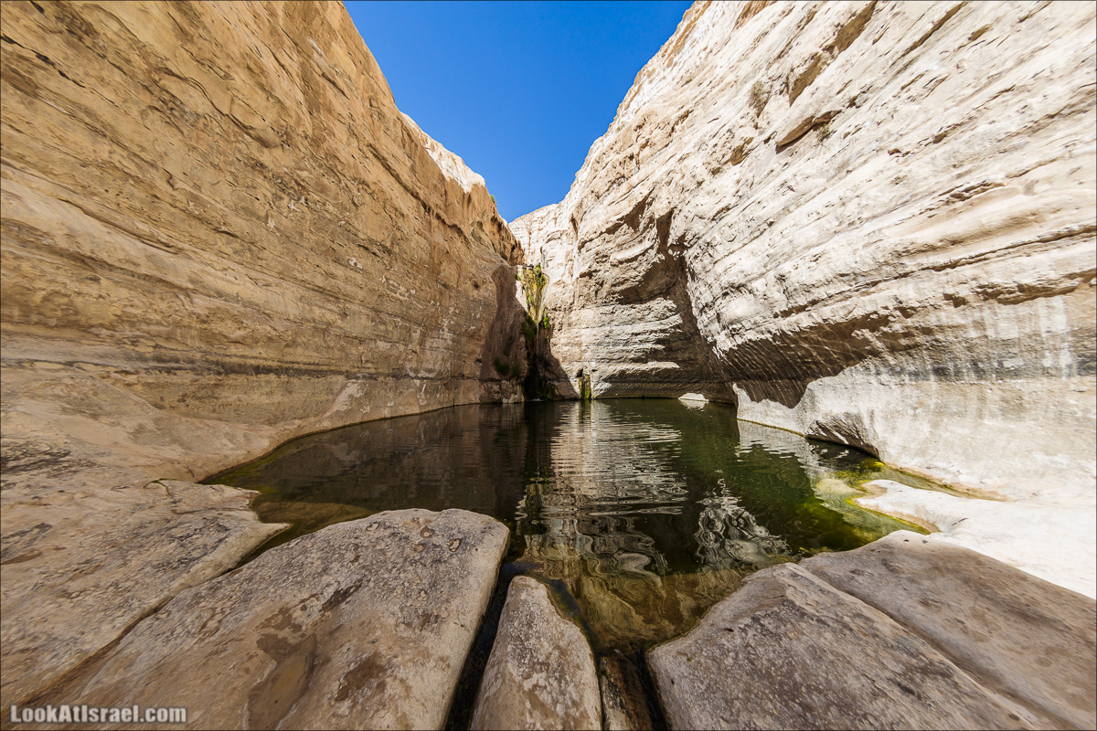 Эйн Авдат | LookAtIsrael.com - Фото путешествия по Израилю