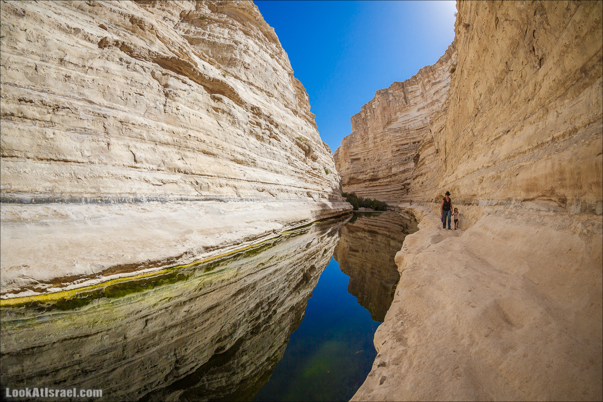 Эйн Авдат | LookAtIsrael.com - Фото путешествия по Израилю