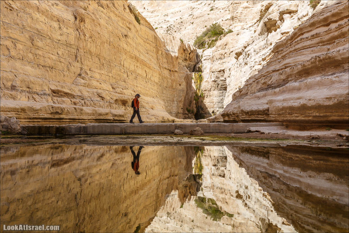 Эйн Авдат | LookAtIsrael.com - Фото путешествия по Израилю