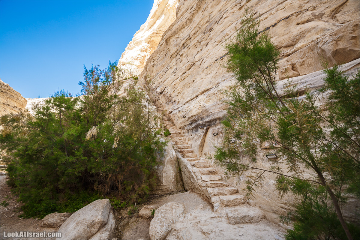 Эйн Авдат | LookAtIsrael.com - Фото путешествия по Израилю