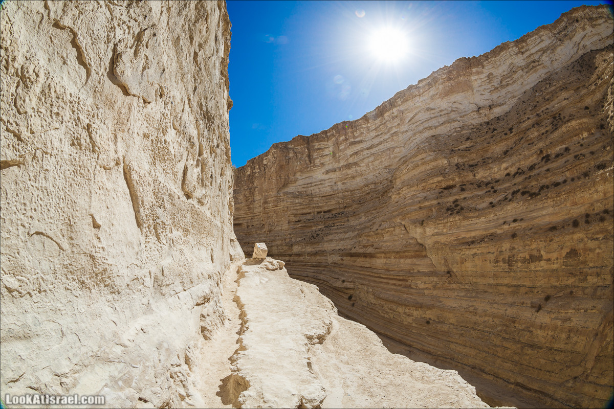Эйн Авдат | LookAtIsrael.com - Фото путешествия по Израилю