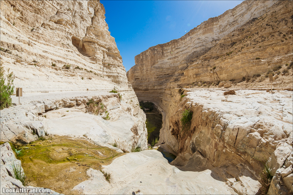 Эйн Авдат | LookAtIsrael.com - Фото путешествия по Израилю