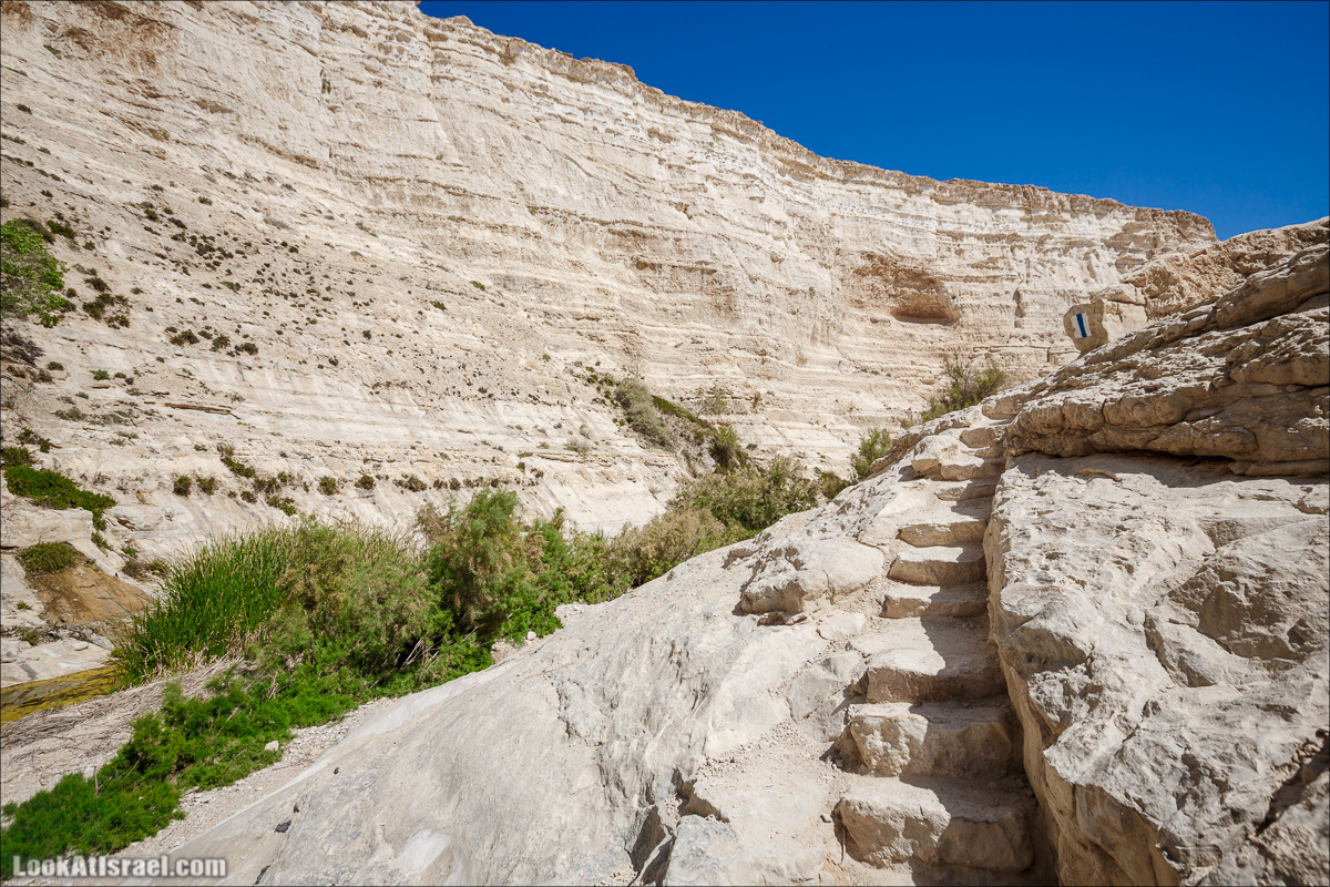 Эйн Авдат | LookAtIsrael.com - Фото путешествия по Израилю