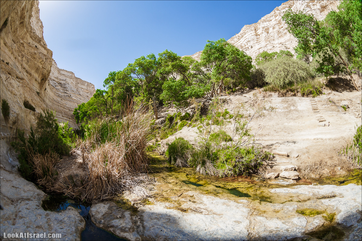 Эйн Авдат | LookAtIsrael.com - Фото путешествия по Израилю