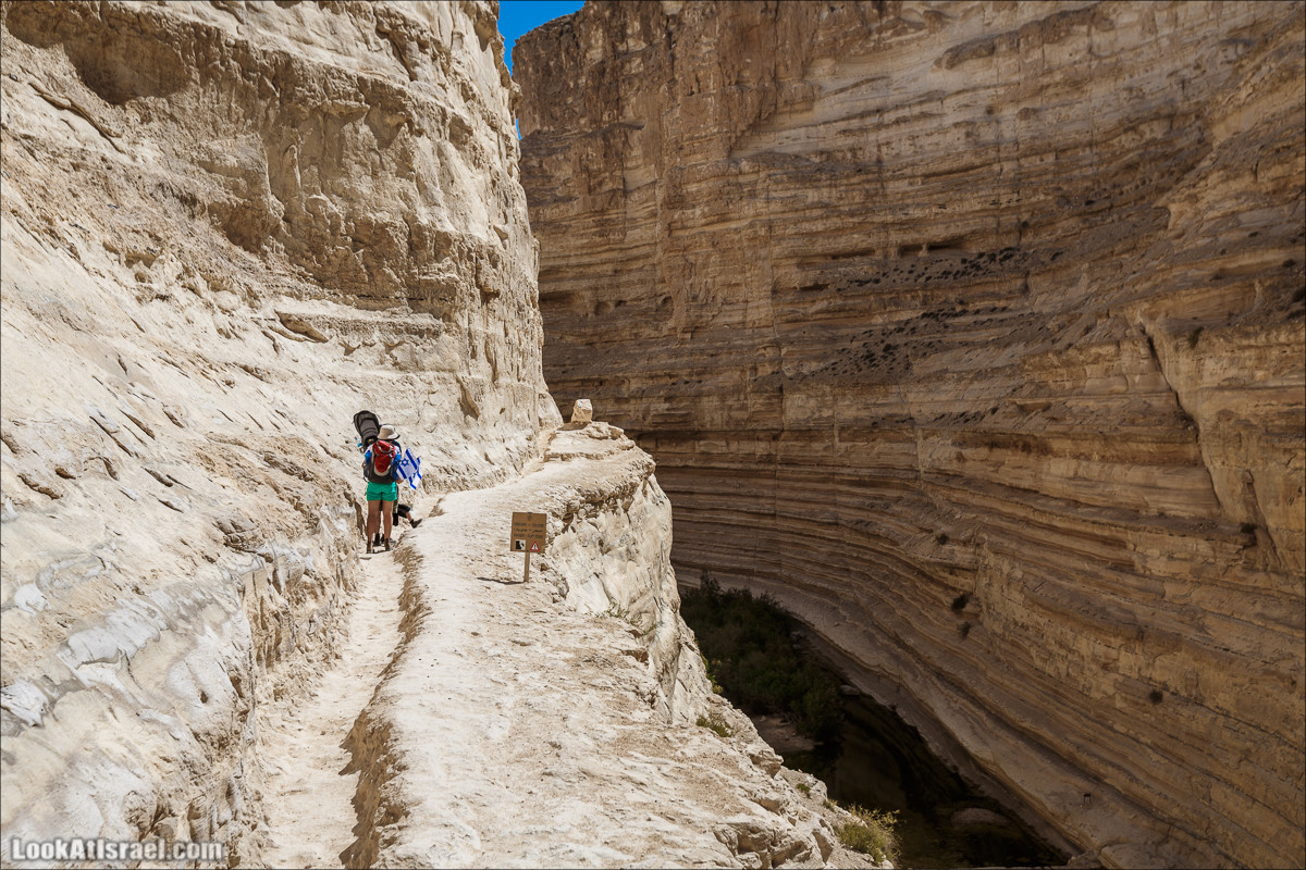 Эйн Авдат | LookAtIsrael.com - Фото путешествия по Израилю