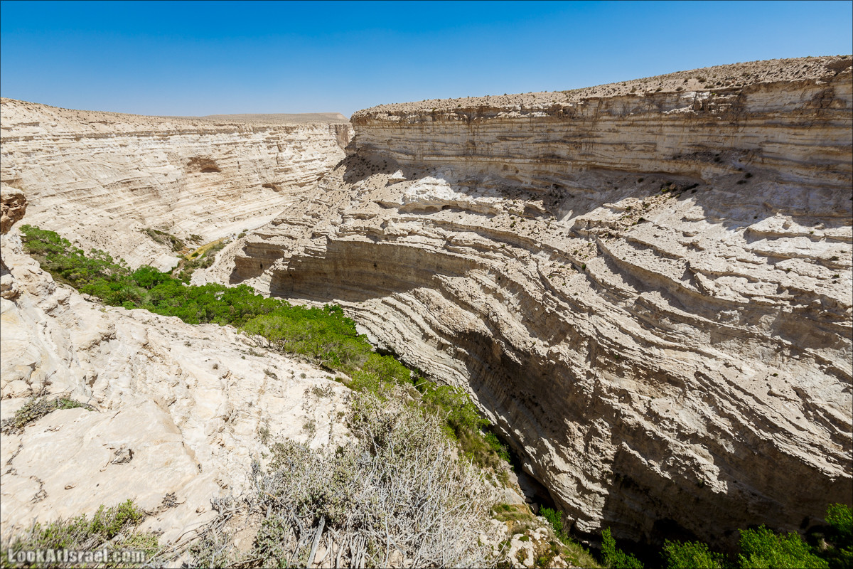 Эйн Авдат | LookAtIsrael.com - Фото путешествия по Израилю