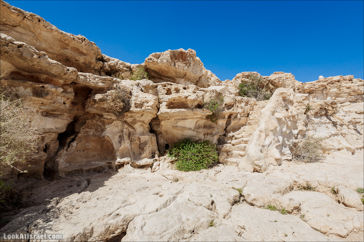 Эйн Авдат | LookAtIsrael.com - Фото путешествия по Израилю