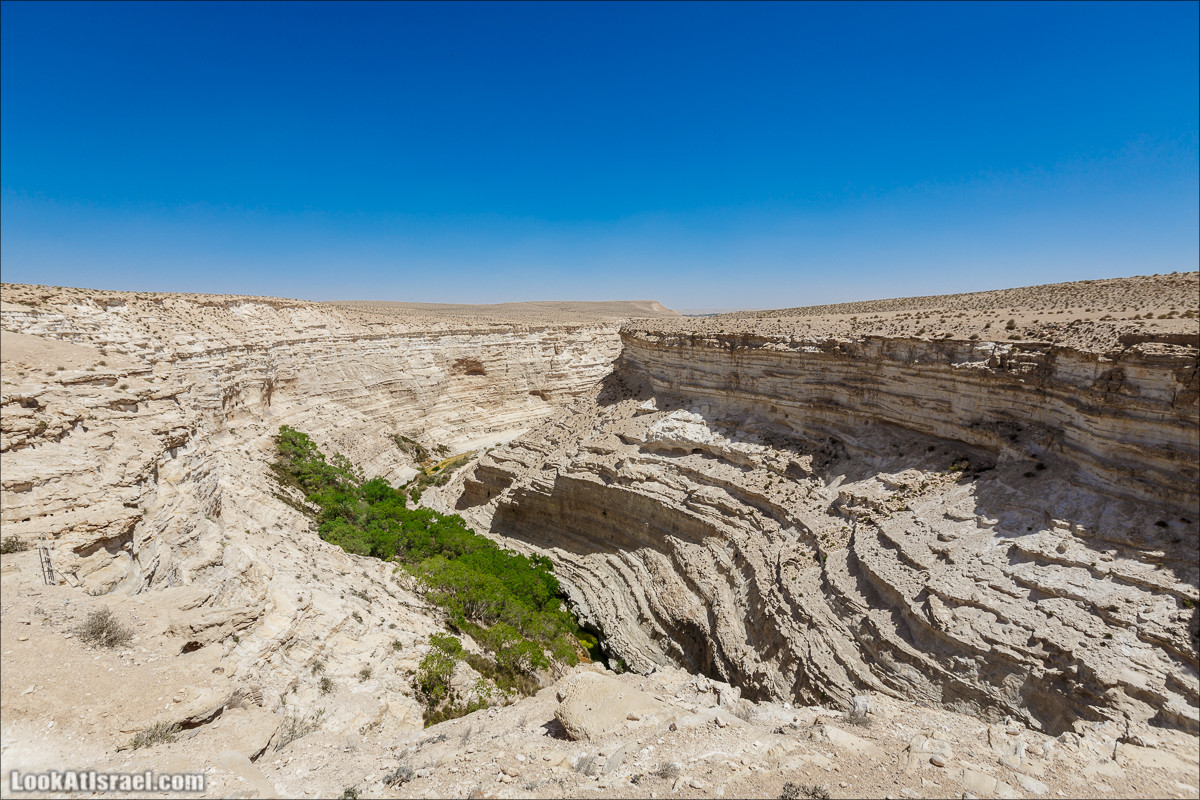 Эйн Авдат | LookAtIsrael.com - Фото путешествия по Израилю