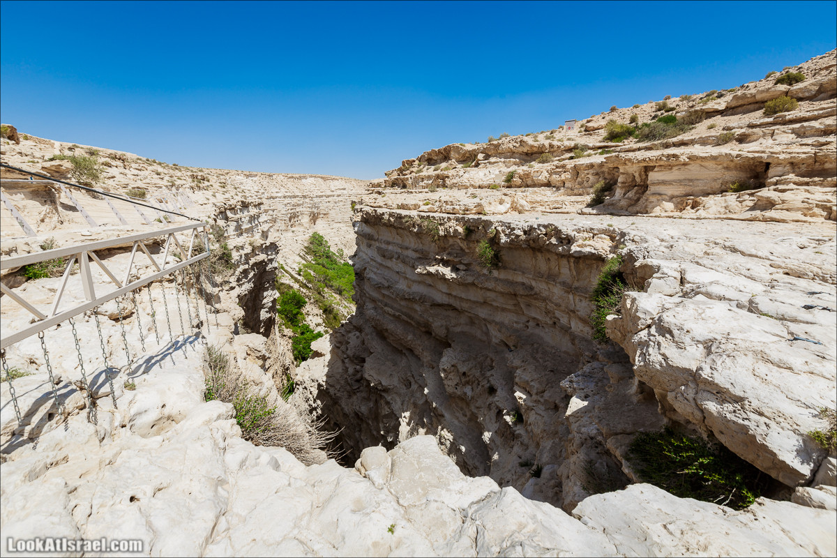 Эйн Авдат | LookAtIsrael.com - Фото путешествия по Израилю