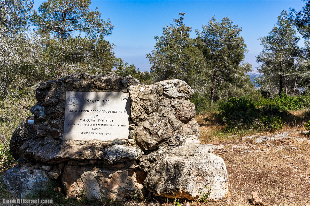 Пейзажная дорога на горе Тураан | LookAtIsrael.com - Фото путешествия по Израилю