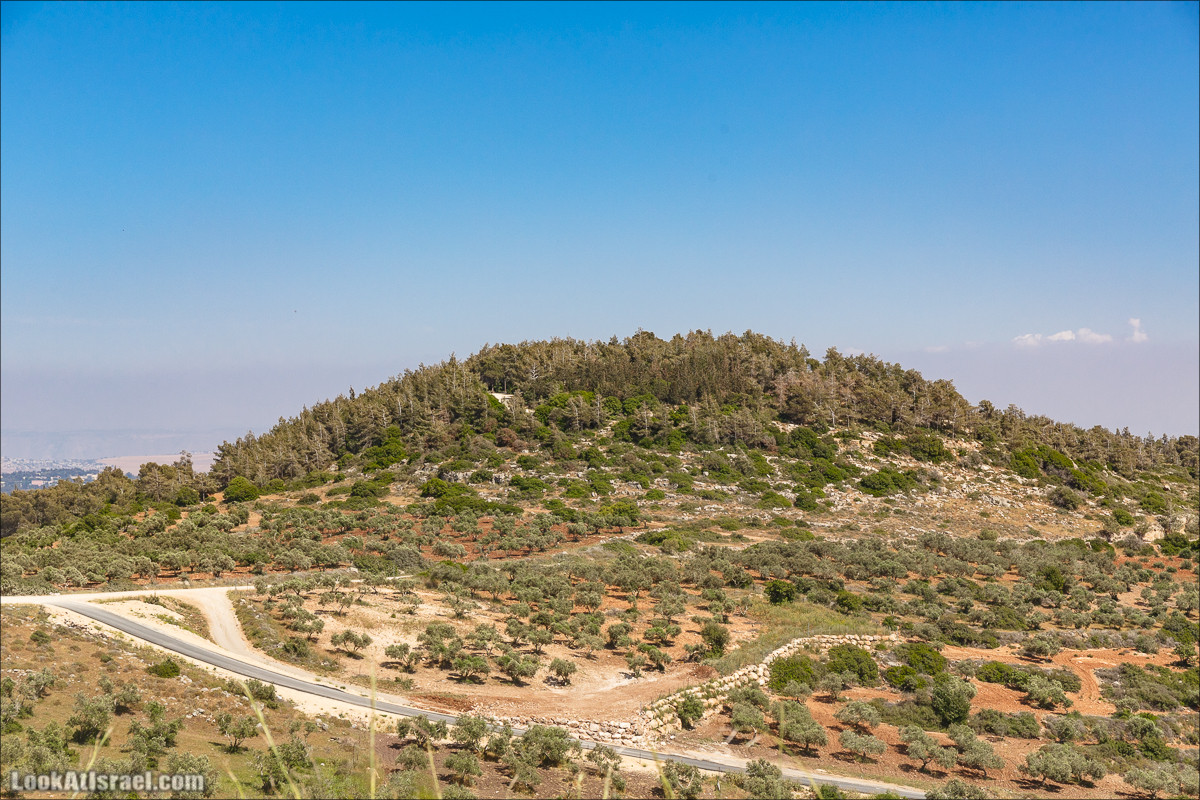 Пейзажная дорога на горе Тураан | LookAtIsrael.com - Фото путешествия по Израилю