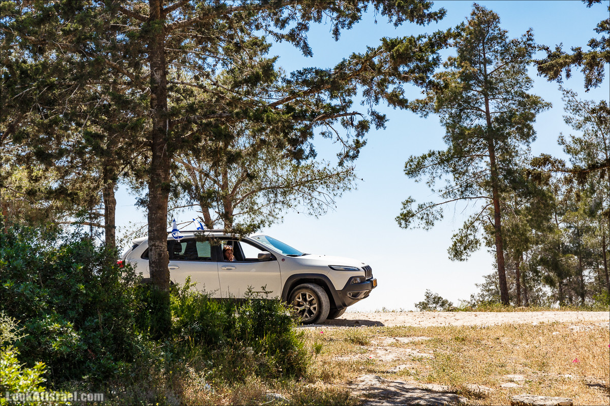 Пейзажная дорога на горе Тураан | LookAtIsrael.com - Фото путешествия по Израилю