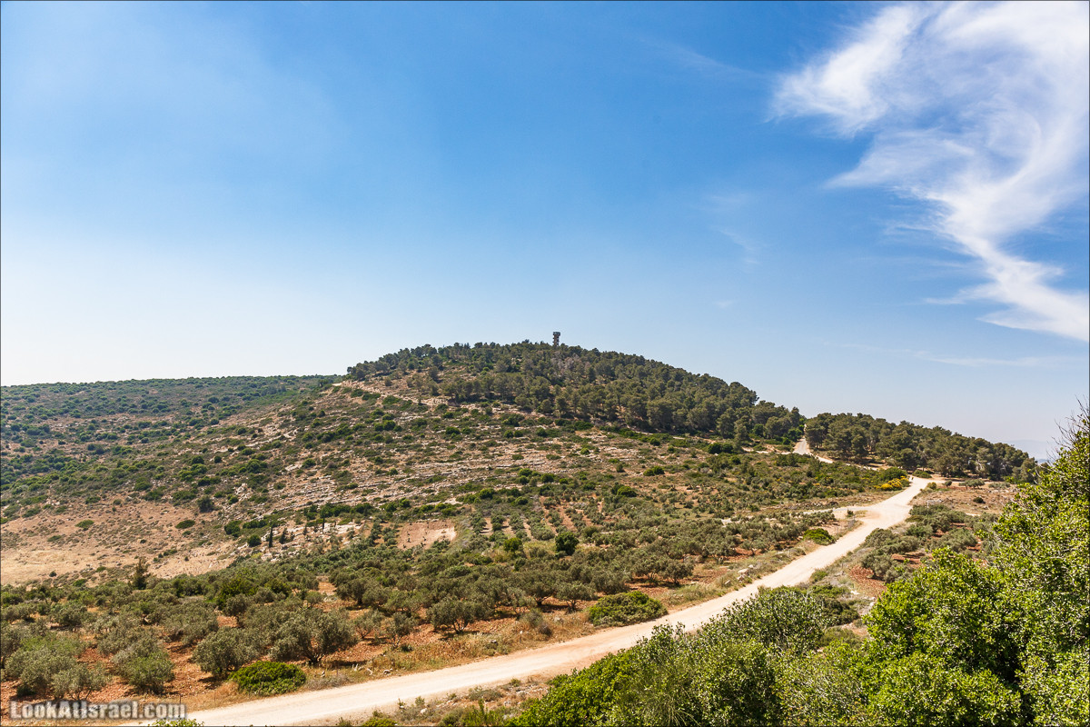 Пейзажная дорога на горе Тураан | LookAtIsrael.com - Фото путешествия по Израилю