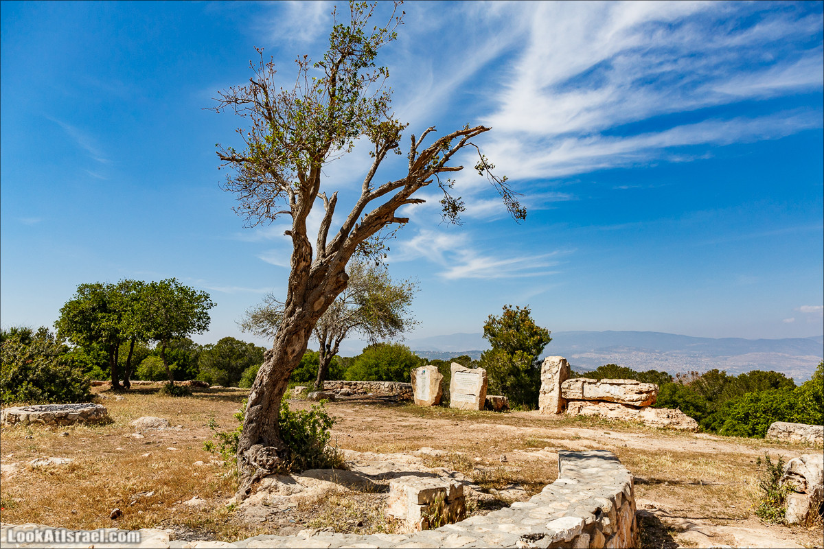 Пейзажная дорога на горе Тураан | LookAtIsrael.com - Фото путешествия по Израилю