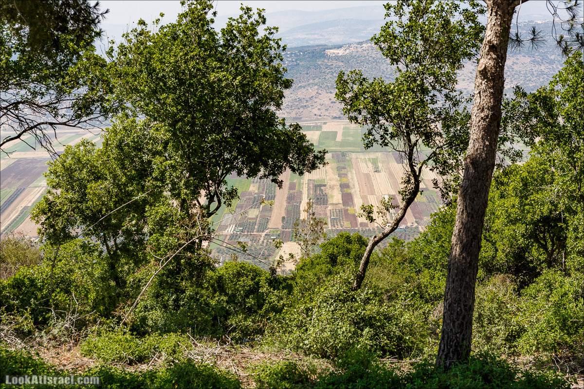 Пейзажная дорога на горе Тураан | LookAtIsrael.com - Фото путешествия по Израилю