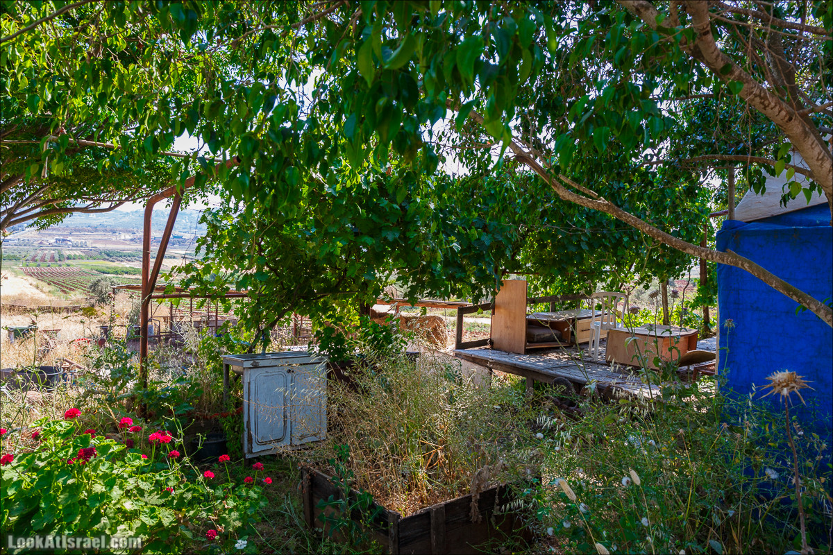 Пейзажная дорога на горе Тураан | LookAtIsrael.com - Фото путешествия по Израилю