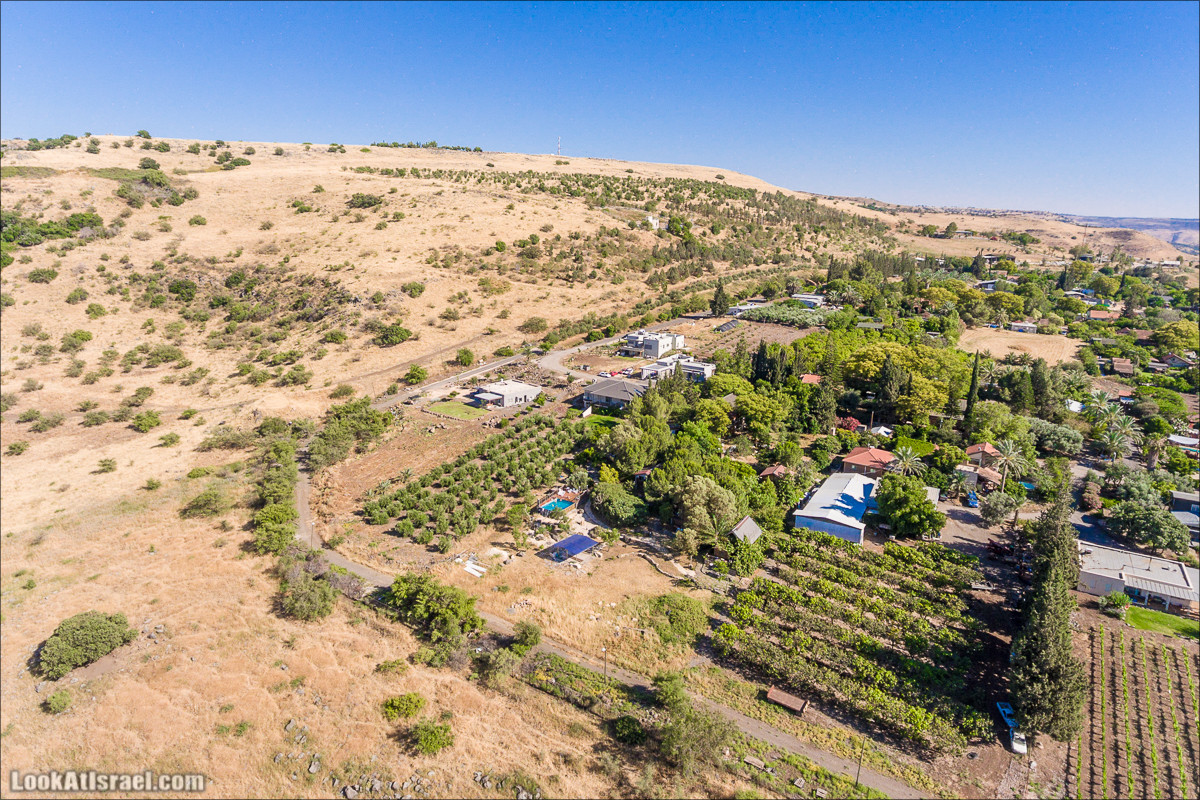 Маале Гамла и полет над Голнаскими высотами | LookAtIsrael.com - Фото путешествия по Израилю